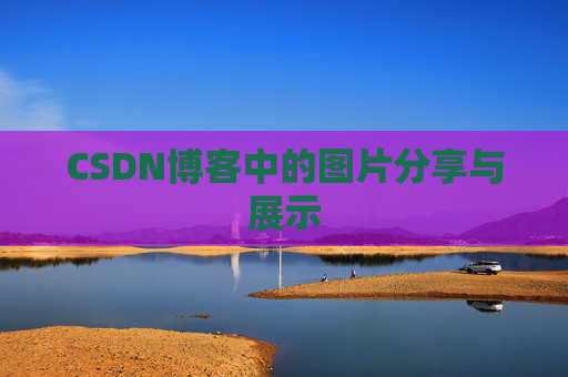 CSDN博客中的图片分享与展示